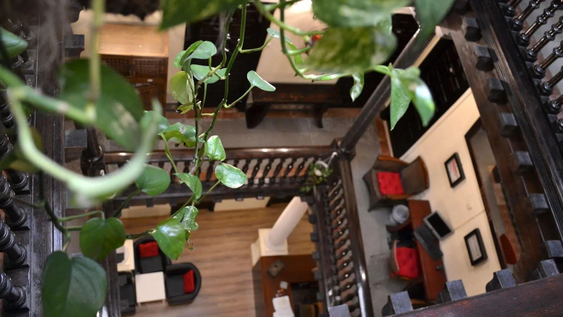 Nuevo Suizo Bed & Breakfast Seville